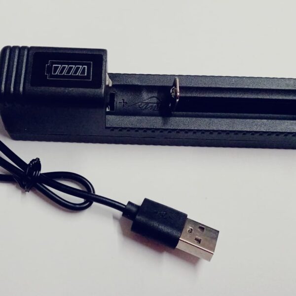 Cargador de Pila USB